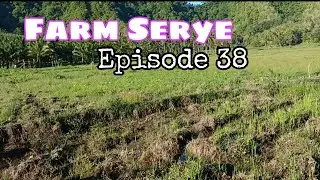 Farme Serye Episode 38 #becomingfarmer