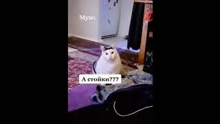 Предложила мужу заказать роллы
