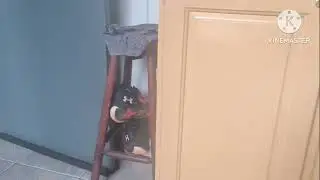 Edição de Sexta-feira. (07/11/2025) Turno Hidro as 16h20.