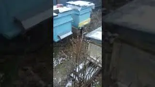 первые трофеи