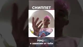 PINQ И ЕГО НОВЫЙ СНИППЕТ