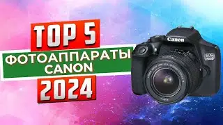 Top 5: Best Canon Cameras of 2024