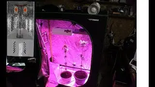 50W Led Chip Full Spectrum build finished