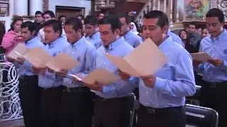 TOMAS DE HÁBITO 2013