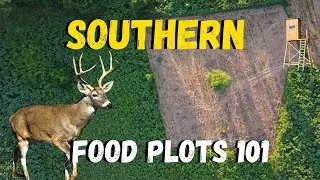 Southern Fall Food Plots!! DEADLY and CHEAP!  