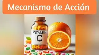 Cómo actúa la vitamina C a nivel bioquimico
