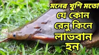 আমাদের থেকে যেকোনো মাছের রেনু  কিনতে পারবেন আপনার মনের মত করে। বিকারে বা ডিজিটাল মিটারে আপনার ইচ্ছা।