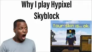 Hypixel SkyBlock Bruh Moment