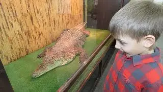 ЗООПАРК - Экзотические животные