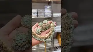 lmitation Jewellery Wholesaler And Reseller Shop Agra,Jeweller Dealer/