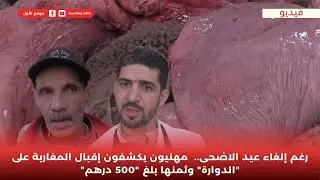 رغم إلغاء عيد الاضحى..  مهنيون يكشفون إقبال المغاربة على 