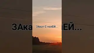 5 июля 2024 г.