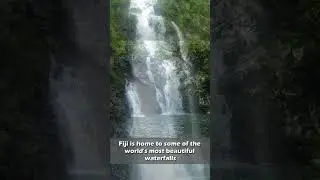 Fun Facts About Every Country In The World #59 - Fiji 🇫🇯