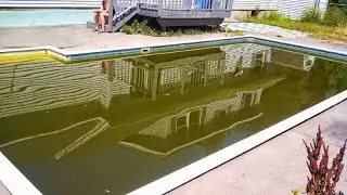 HOW TO GET RID OF POOL ALGAE (HELPFUL FIXES)