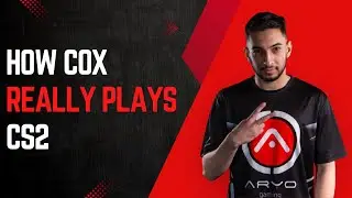 How Cox Really Plays CS2 🔥 @AlinMocean