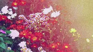 FREE Young Thug x Juice WRLD x Post Malone Type Beat 2019 