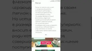 студия паровоз кот Басик герои Басик