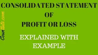 Consolidated Statement of Profit or Loss | Explained with Example