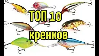 ТОП 10 лучших воблеров типа кренк для ловли хищной рыбы (щуки, окуня, судака, голавля, сома)