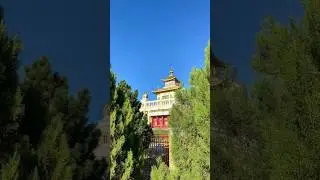 Золотая обитель Будды Шакьямуни в городе Элиста.❤️ 