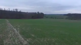 DJI Phantom 3 Professional crash in 50p