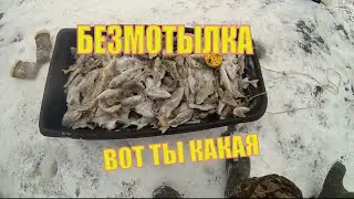 Ловля окуня на безмотылку.