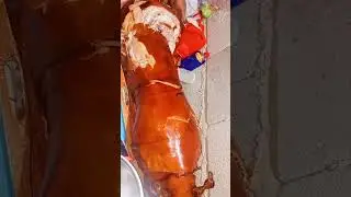 Lechon Baboy so Delicious 