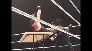 WWE Roman Reigns & Bray Wyatt In Minehead