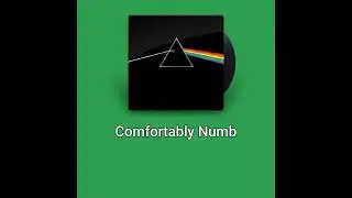 PINK FLOYD - COMFORTABLY NUMB