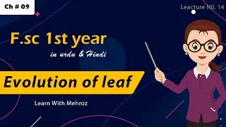 Lec#14 PPSC Botany lecturer series 
Ch#9 Evolution of leaf (F.sc 1st year) in urdu&Hindi