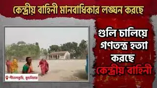 Sitalkuchi Live Firing । Sitalkuchi Election News । Sitalkuchi Gulikando