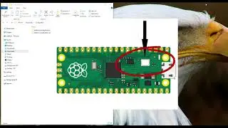 Raspberry Pi Pico: CircuitPython Disappears AND Blink Code Doesn't Run