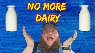1 WEEK WITHOUT DAIRY | CARNIVORE DIET UPDATE #carnivorediet