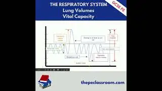 AQA GCSE PE Vital Capacity