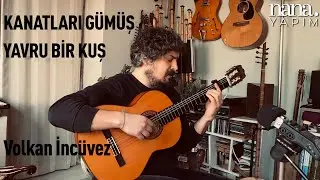 Volkan İncüvez - Kanatları Gümüş Yavru Bir Kuş (Canlı Akustik)