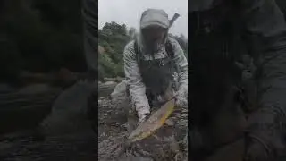 Fishing in the elements 🌧️🌧️🌧️