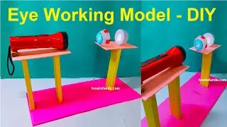 eye working model science project - diy - biology - zoology project | howtofunda