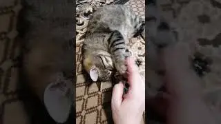 ПРОСТО ТАК