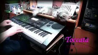 TOCCATA / CASIO CTK-7200