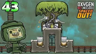 EXPERIMENTO 52B #43 | DLC Spaced Out! | Oxygen Not Included 📝Ciclo 764- 779 MUNDO TERRANIA