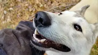 НОВЫЕ МЕСТА - АЛТАЙ!!!
