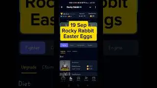 Rocky Rabbit Easter Eggs 19 & 20 September | Rocky Rabbit Daily Combo Today September 19, 2024