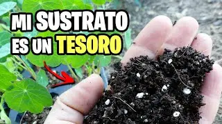 ✅ COMO preparar el MEJOR SUSTRATO para tus PLANTAS!! | La Huerta de Ivan
