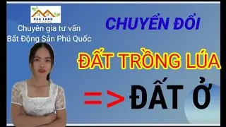 Đất trồng lúa có chuyển đổi lên đất ở được không?