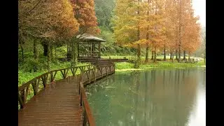 張學友           秋意濃