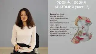 Отрывок видеоурока из курса по фитнесу.