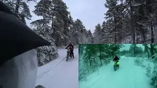 Avantis FX 250 Lux, KEWS и Kayo T4. П снежному лесу.
