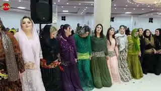 زیباترین عروسی کردی | قشنگترین رقص کوردی 2024