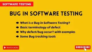 QA manual testing tutorial for beginners | what is bug in software testing with example