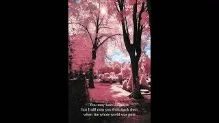 (FREE) Lo-fi Type Beat - The whole world was pink